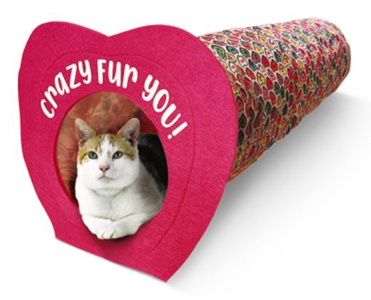 Heart To Tail Cat Tunnel Of Love Aldi Us Specials Archive