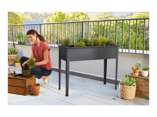 Parkside Raised Planter Lidl Great Britain Specials Archive