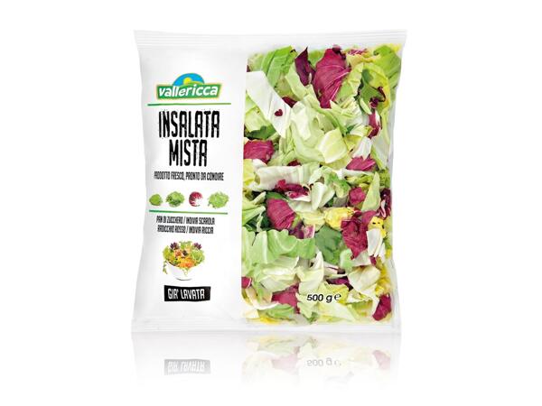 Mixed Salad