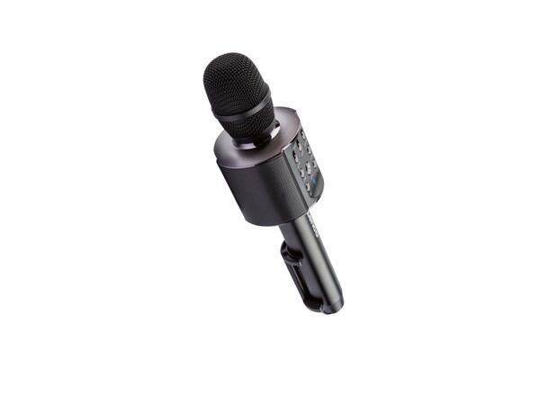 Lenco Karaoke Microphone