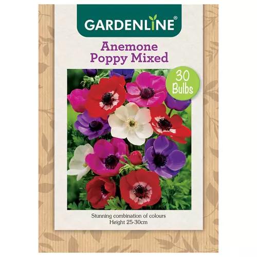 Assorted Packet Bulbs