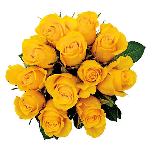 12 Stem Roses - Assorted Color