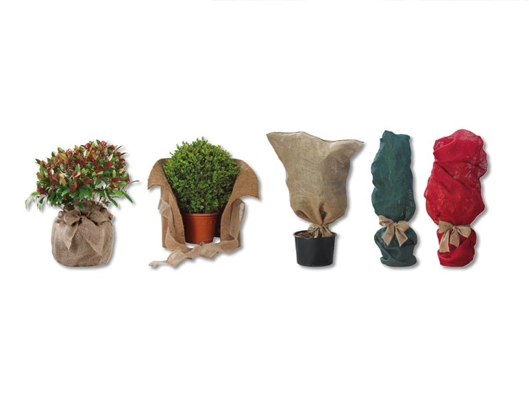 Protection contre le gel pour plantes
