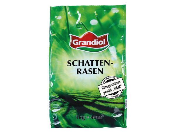 Schattenrasen