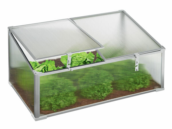 Cold Frame