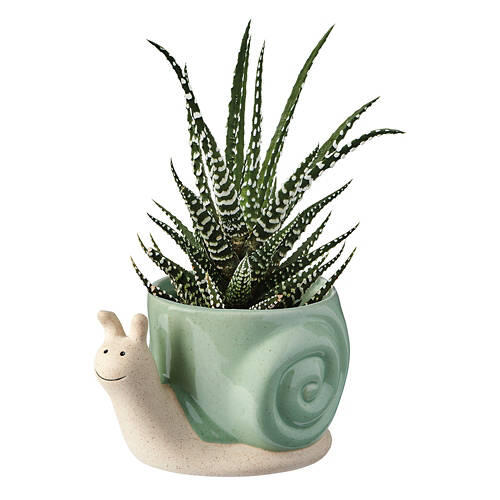 Snail Shaped Ceramic Planter