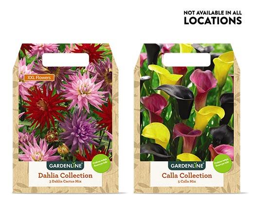 Gardenline 
 Mixed Spring Bulbs Assorted Varieties