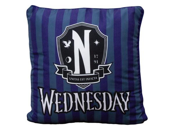 Cushion 40x40cm "Wednesday"