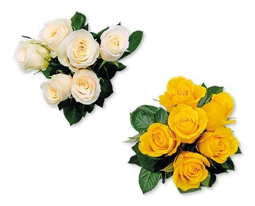 6 Stem Rose Bouquet Assorted Colors