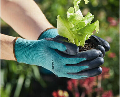 Garden Gloves