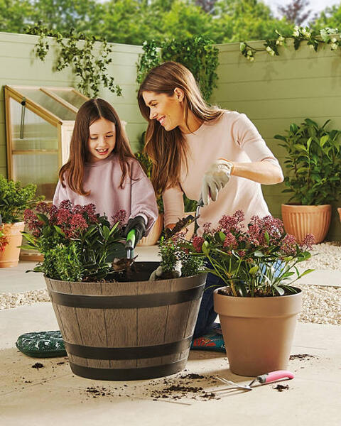 Whiskey Barrel Planter