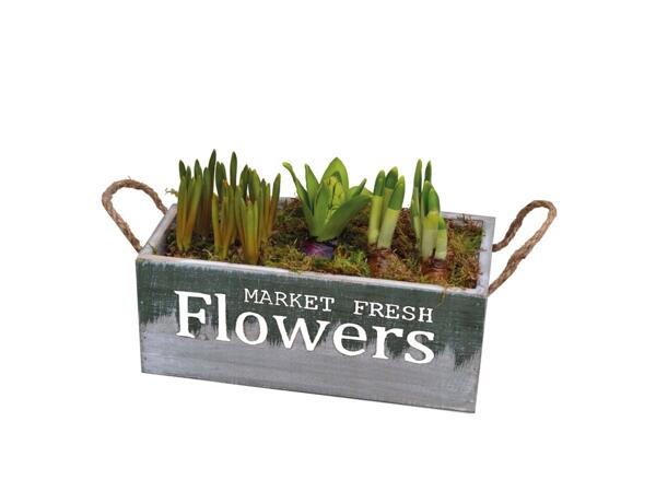 Market Fresh Bulb Planter (XXL)