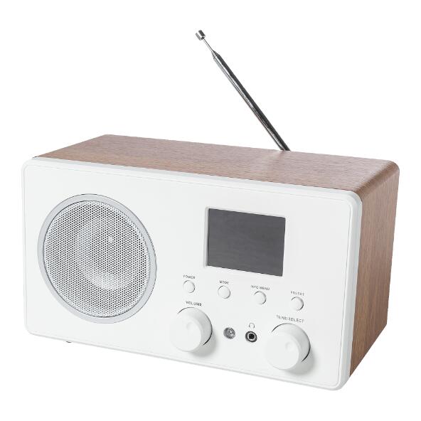 ENVIVO(R) 				DAB+-/FM-radio