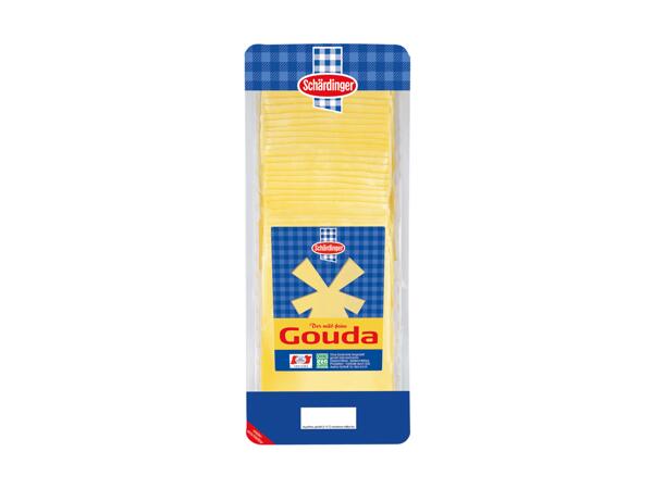 Gouda