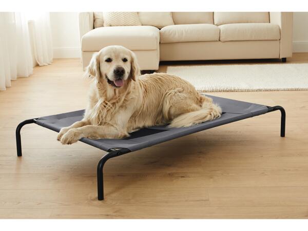Dog Bed