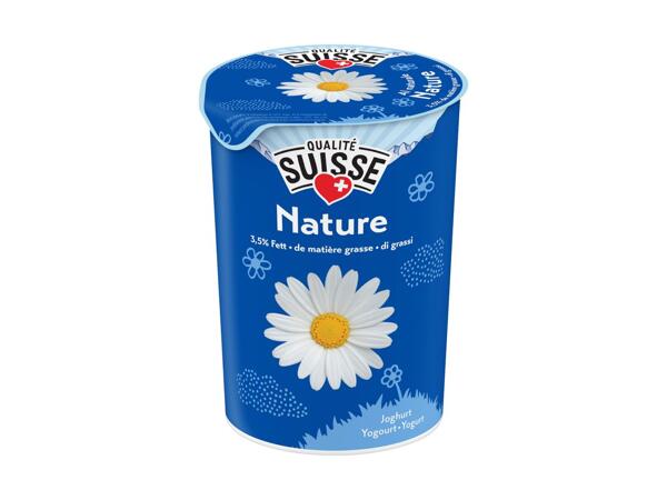 Yogourt nature 3,5%