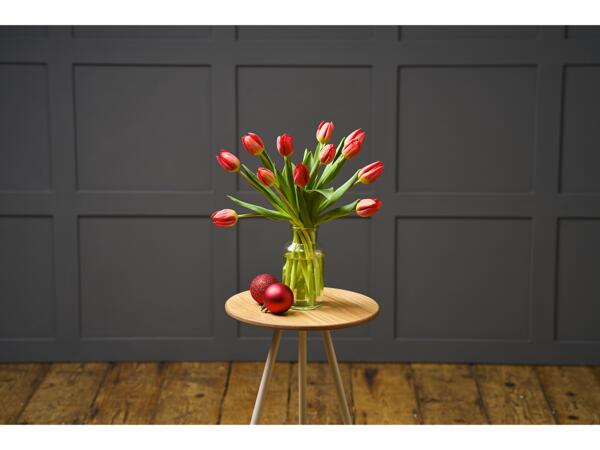 Christmas Tulips