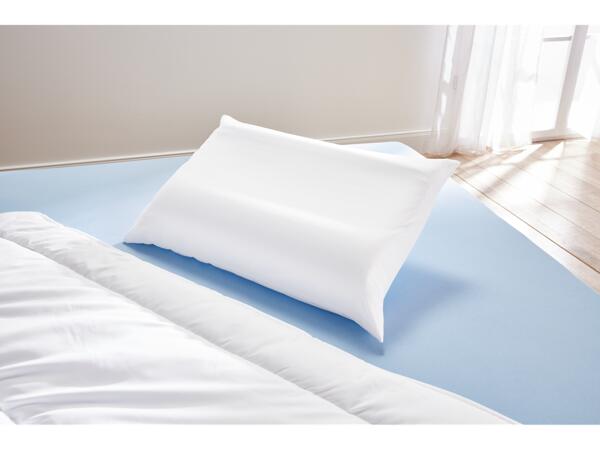 Anti-Mite Neck Support Pillow