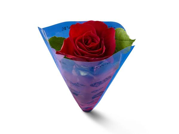 Deluxe Single Red Rose
