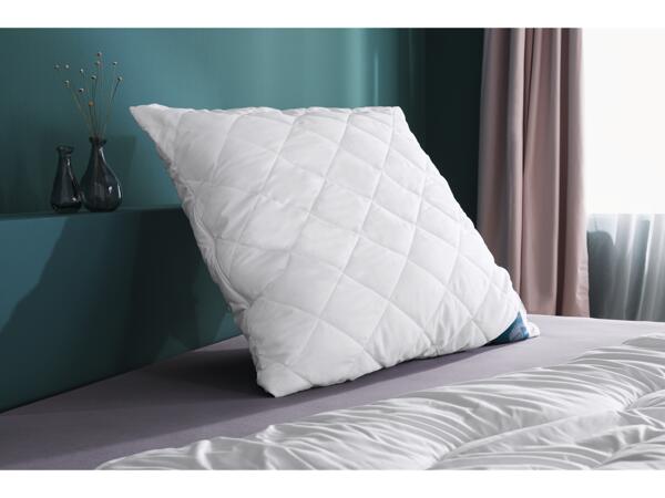 Premium Pillow