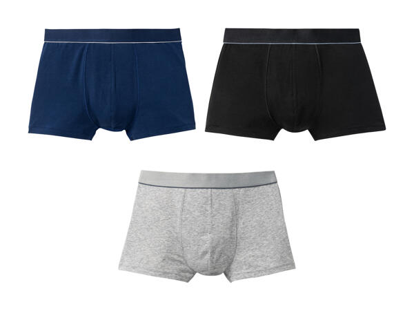 Boxer, 2er