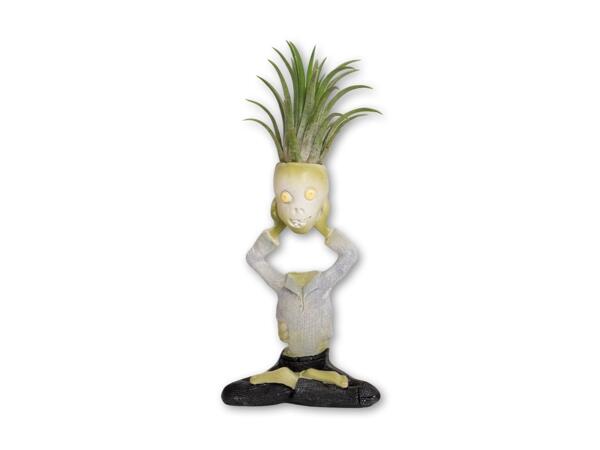 Tillandsia i keramik