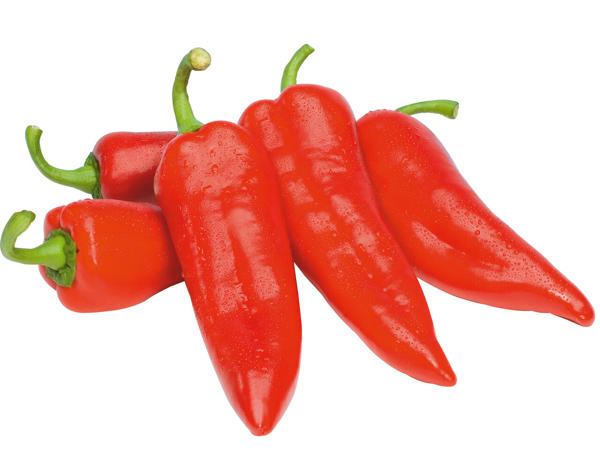 Spitzpaprika rot