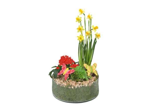 Flower Composition