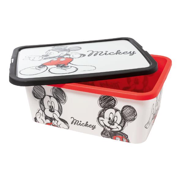 DISNEY(R)/POKÉMON(R) 				Aufbewahrungsbox