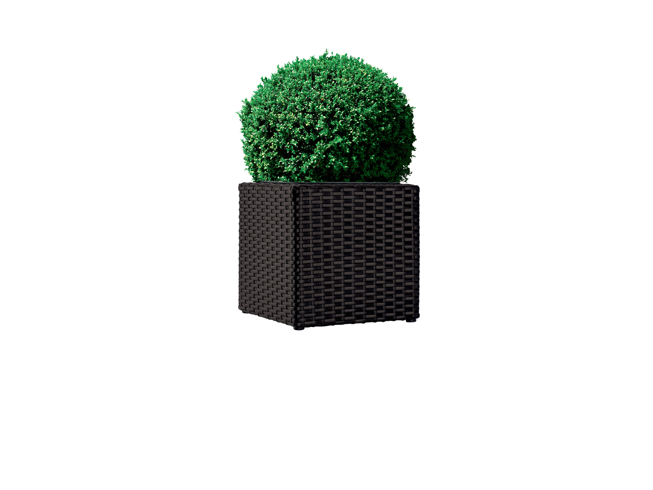 Large Wicker Planter