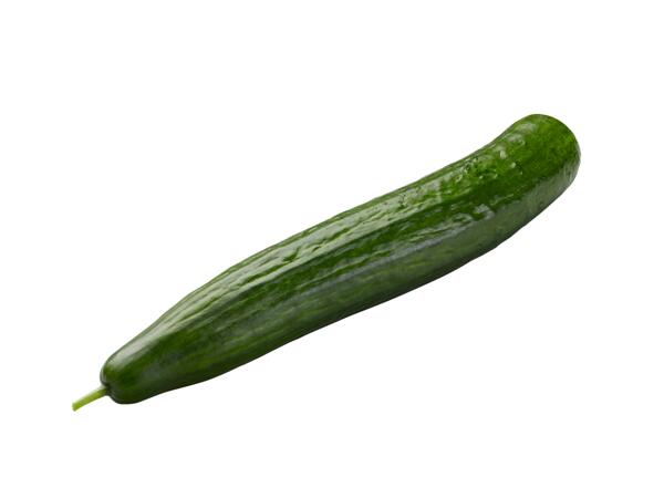 Bio okurka salátová