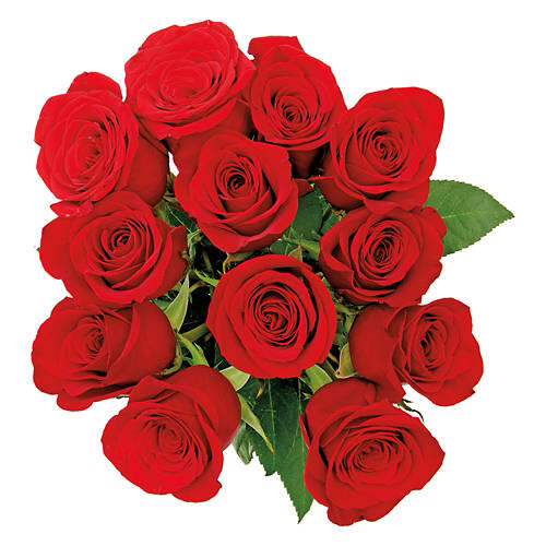 12 Roses Bouquet - Assorted Colors