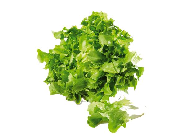 Crisp Sallad