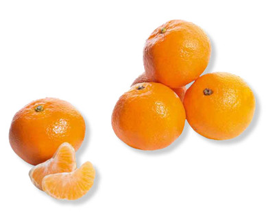 Clémentines premium