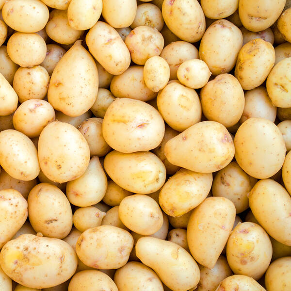 Speisekartoffeln