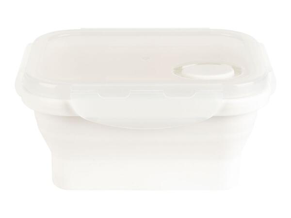 Ernesto Collapsible Rectangular Food Storage Containers - Set of 4