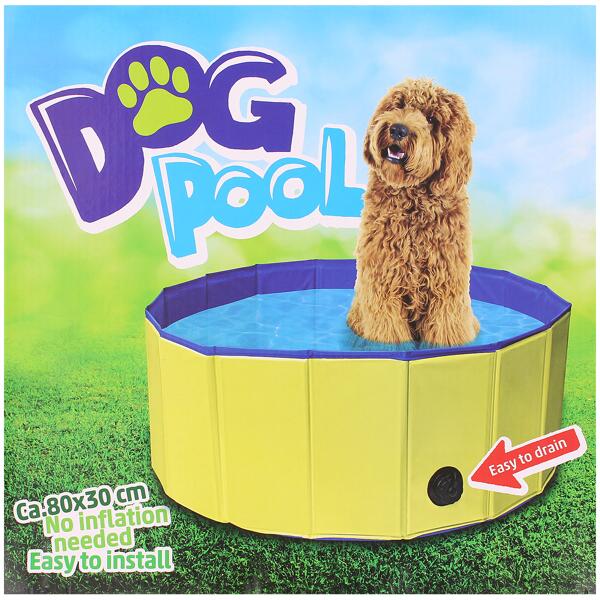 Piscine pour chien