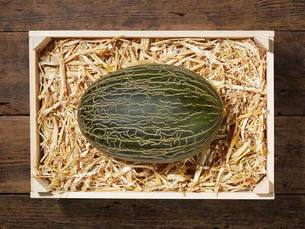 Melone sardo