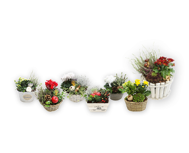 Decorazioni autunnali GARDENLINE(R)