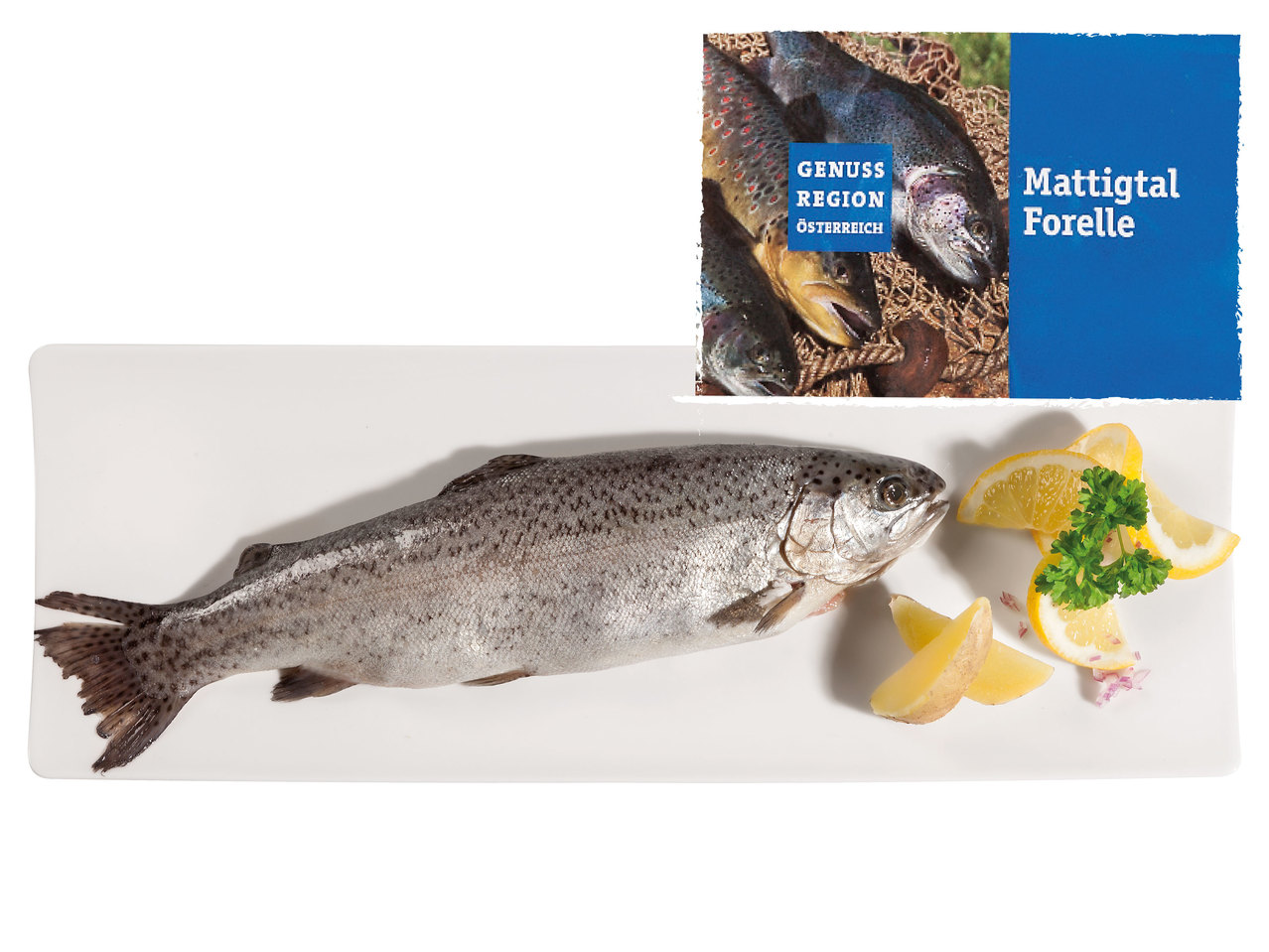 Mattigtal Forelle küchenfertig