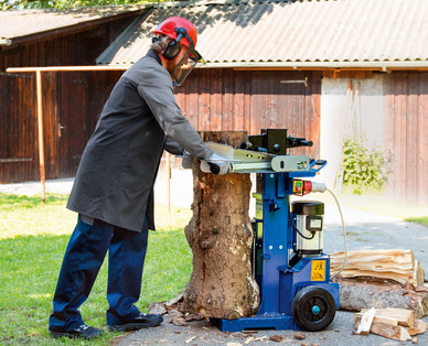 SCHEPPACH Holzspalter HL 1200