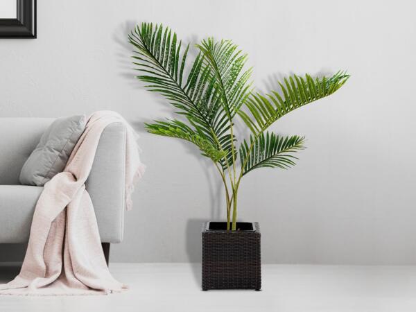 Artificial Plant