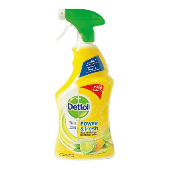 DETTOL(R) 				Détergent universel