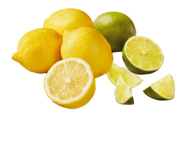 XXL Lemon & Lime Net