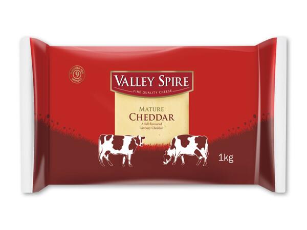 Modnet cheddar