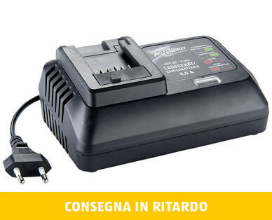 ACTIV ENERGY(R) 
 DISPOSITIVO DI RICARICA PER BATTERIE