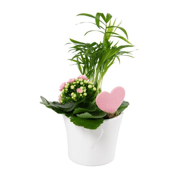 Valentines sammenplantning