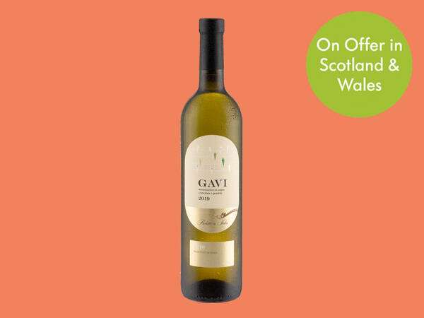 Italian Gavi