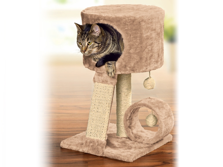 Zoofari Scratching Post
