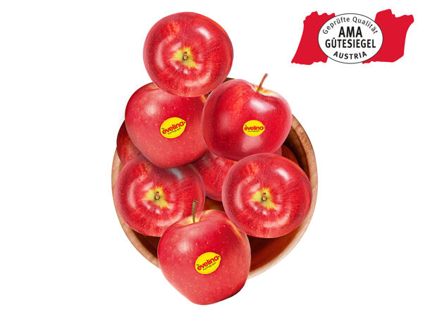 Äpfel rot, Evelina(R)